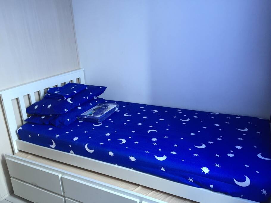 pull out bed