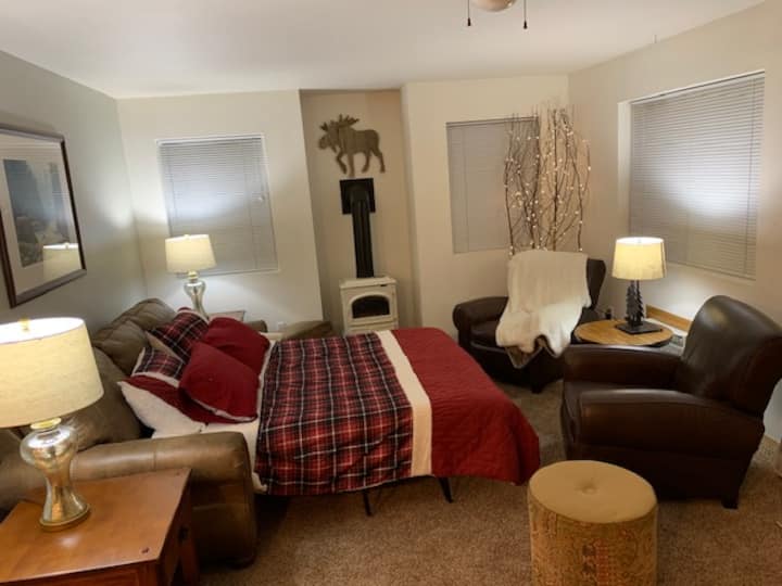 Living Room pull out sofa bed