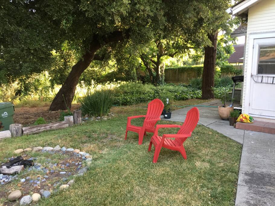 Back yard