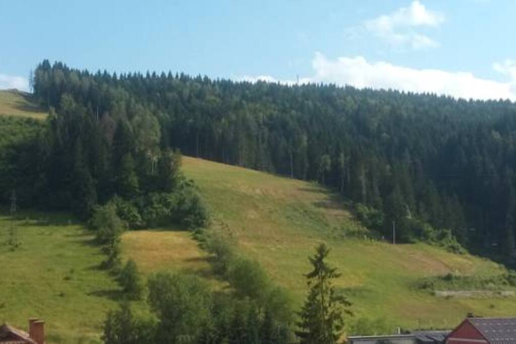 Mountain view