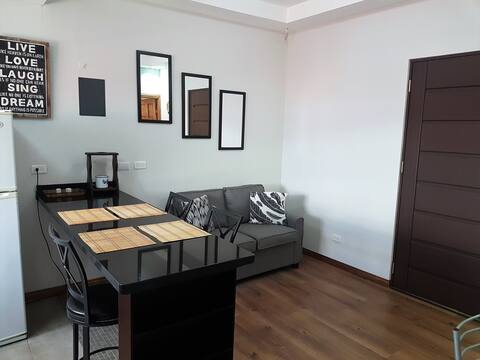 Rare bright+cozy fully furnished APT near dowtown