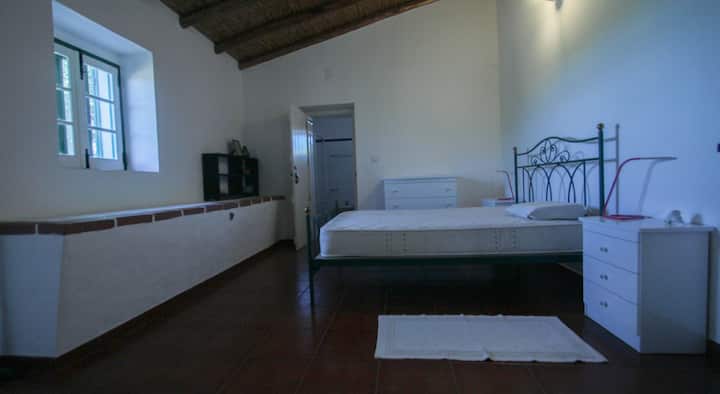 客房1 （套房）