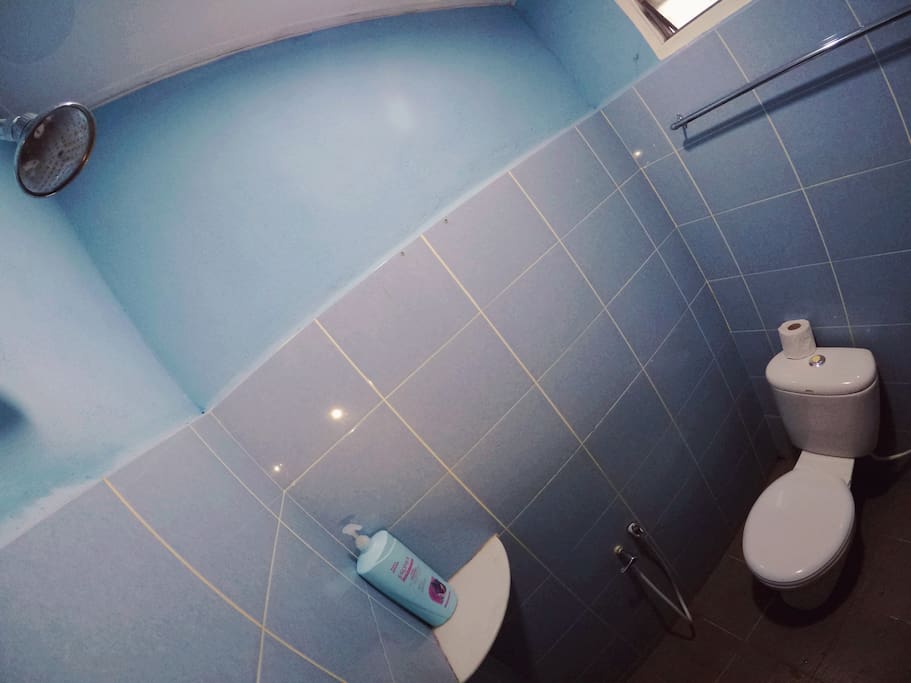 Private toilet