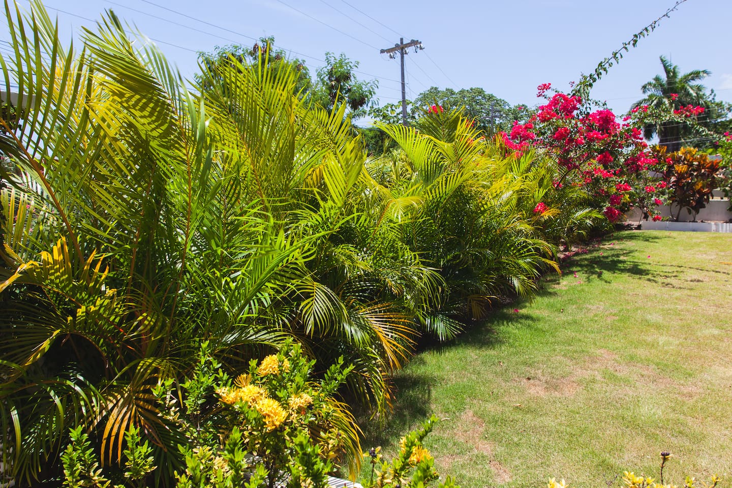 Ide a wile studio apartments for rent in ocho rios