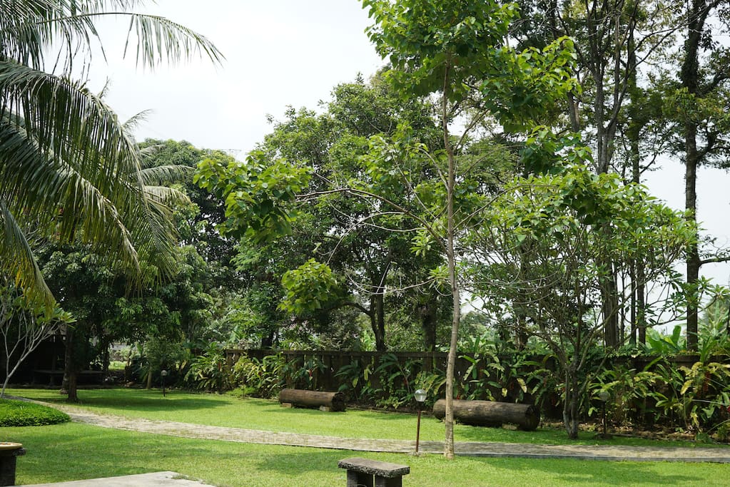 Entrance / Gathering Area 1 - 2000M2