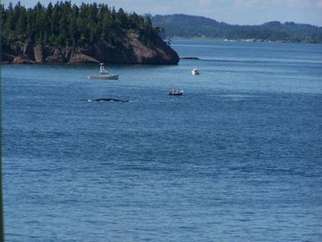 PERIWINKLE COTTAGE BY THE SEA-PRIVATE AND COZY gallery image 4