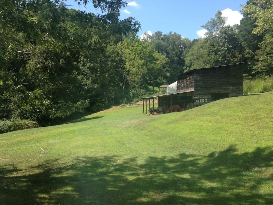 Lawn and tobacco barn