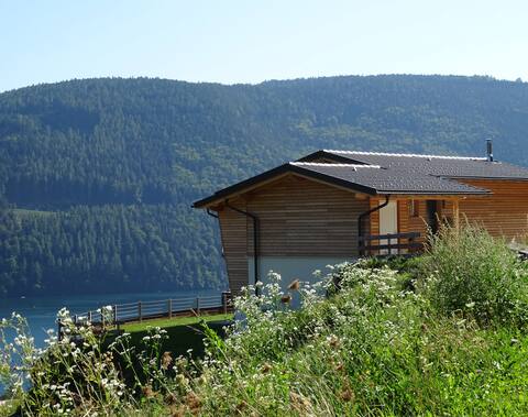 Luxury home overlooking Lake Millstatt and Alps