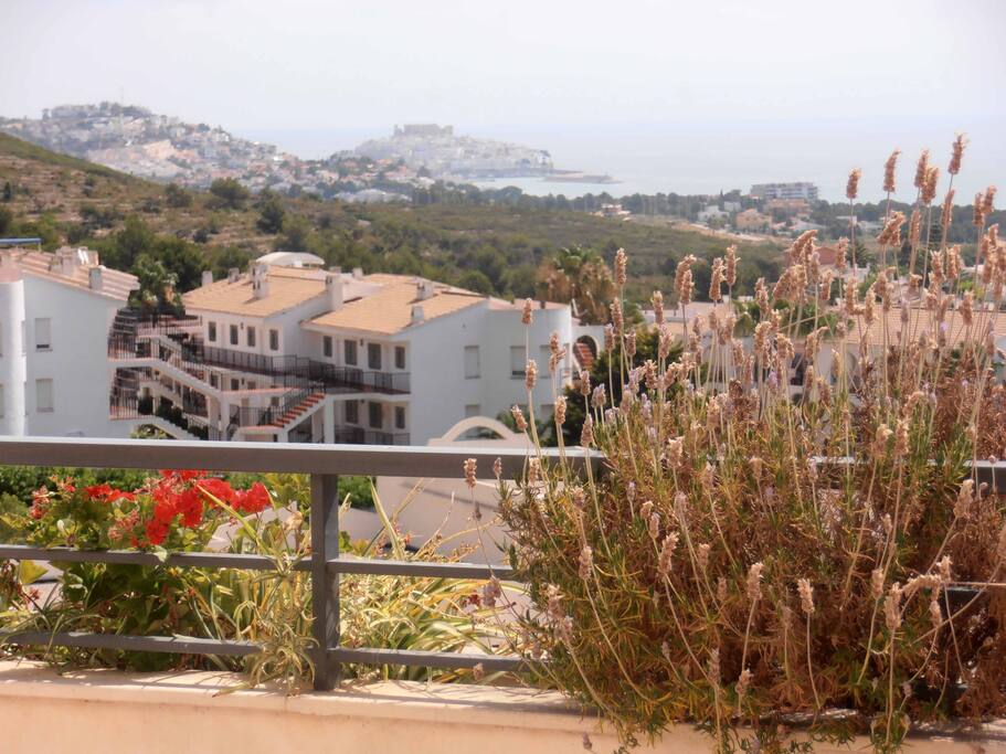 VISTAS