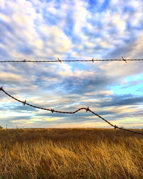 Big, Texas skies.