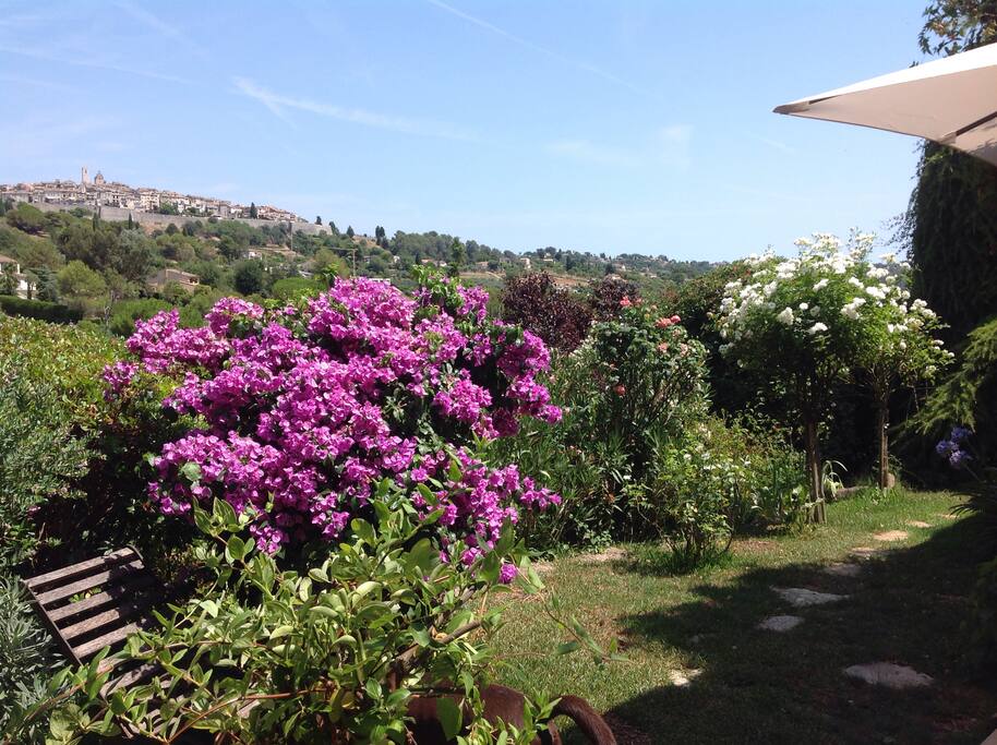 La vue de la terrasse de la chambre
