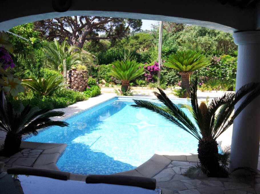 Magnifique piscine plein pied