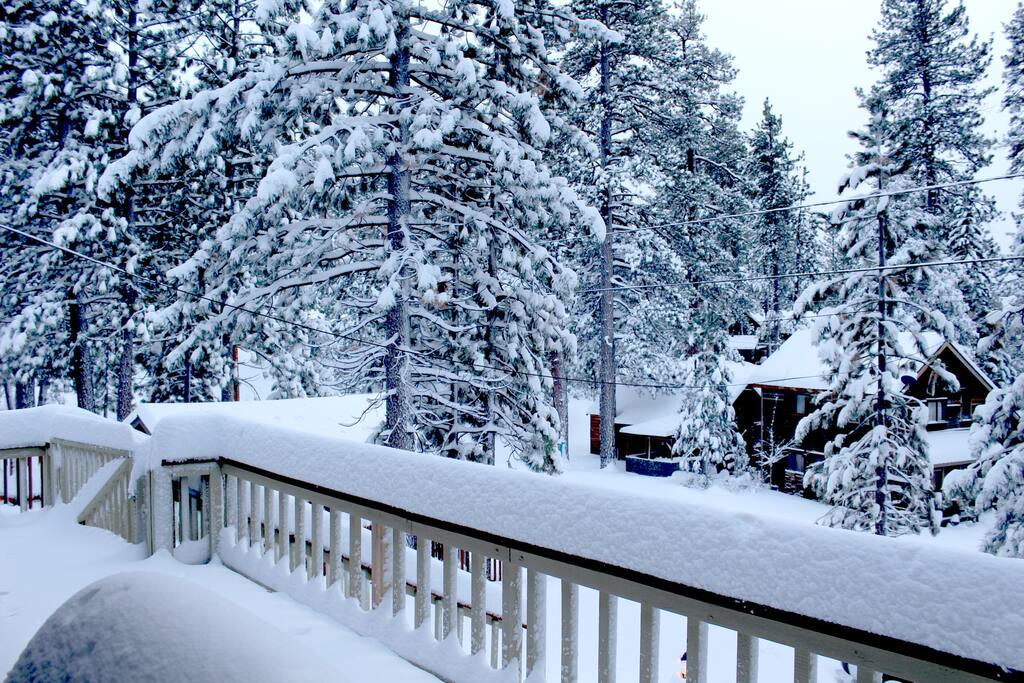 view from the patio