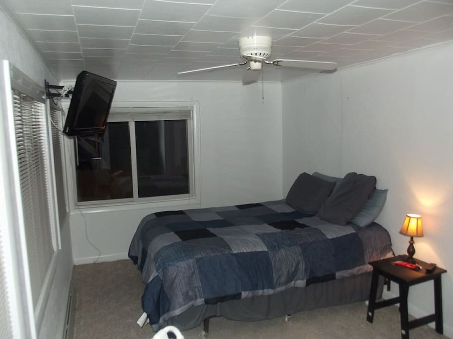 Downstairs Bedroom