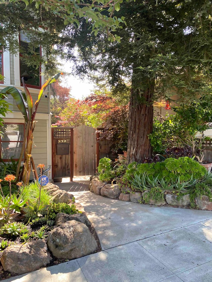 12 Best Airbnb Vacation Rentals In Petaluma, California Updated 2024