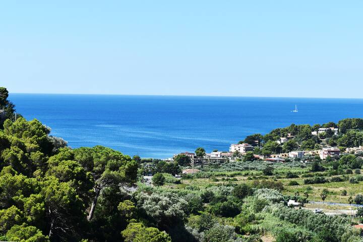 listing_image