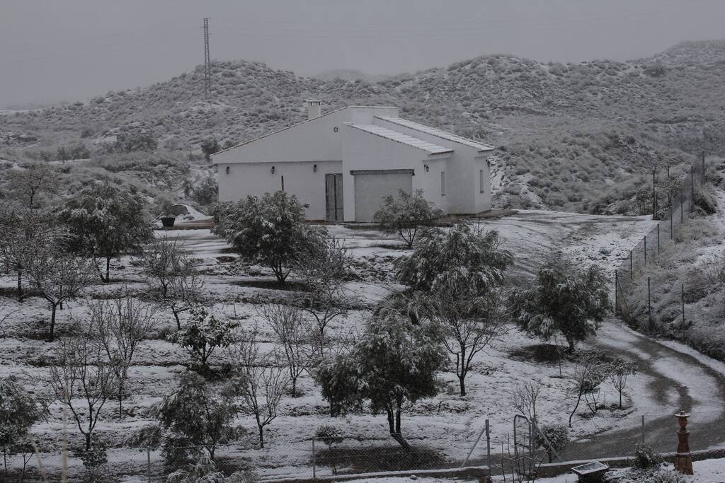 Nevada en Freila