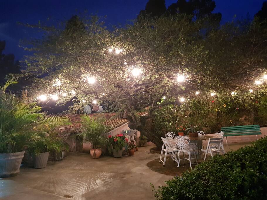 As noites em Gravata são refrescantes, imagine fondue com vinho sob esta majestosa árvore. Ou use este espaço para acompanhar o seu livro favorito, tudo ao mesmo tempo que está rodeado pelos nossos jardins cuidadosamente mantidos.