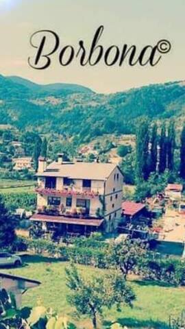 Borbona at your house