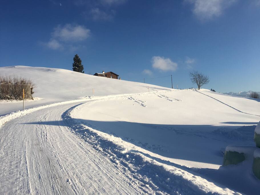 Blockhütte von der Abzweigung aus gesehen