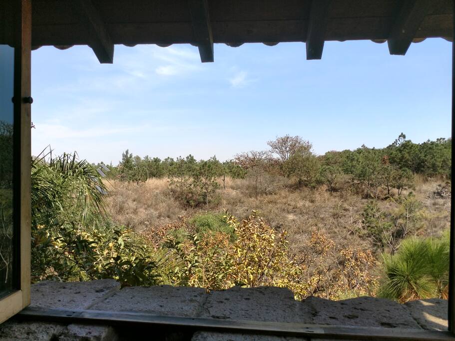 Vista