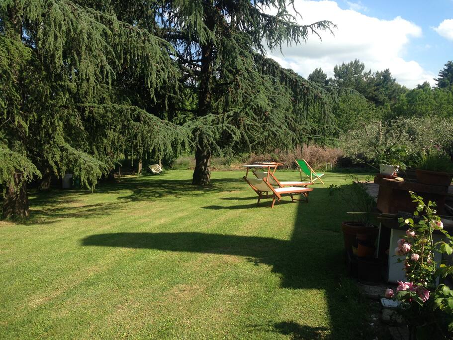 relax al sole