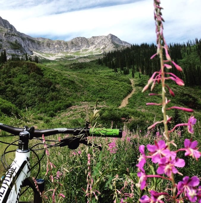 Biking on the hill in summer