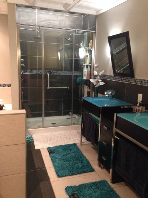 Salle de bain de rêve avec double jet et bain indépendant