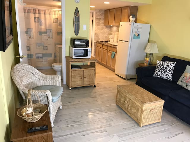 Refurbished Oceanfront Condo- Free WiFi Sleeps 6!
