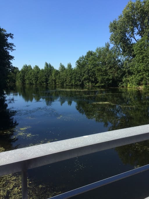 Mooie natuur in de nabijheid van deze studio