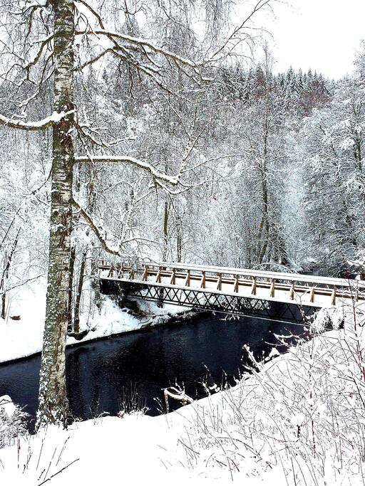 Winter wonderland
