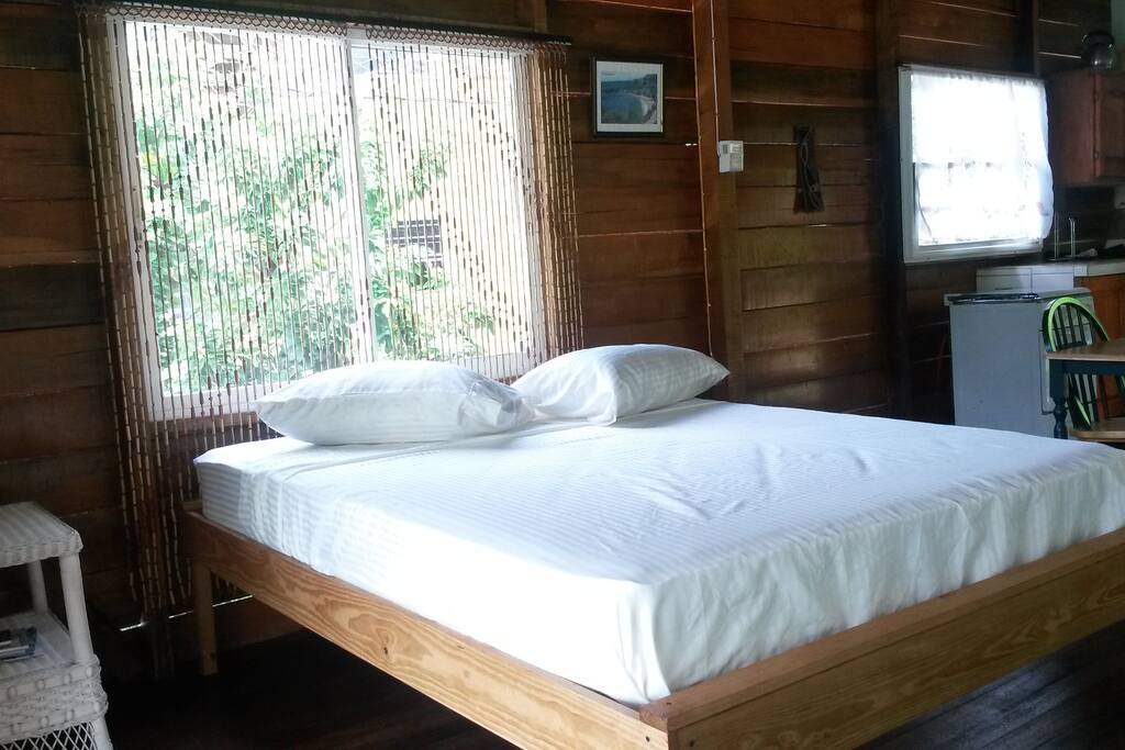 Another queen size bed in the living room