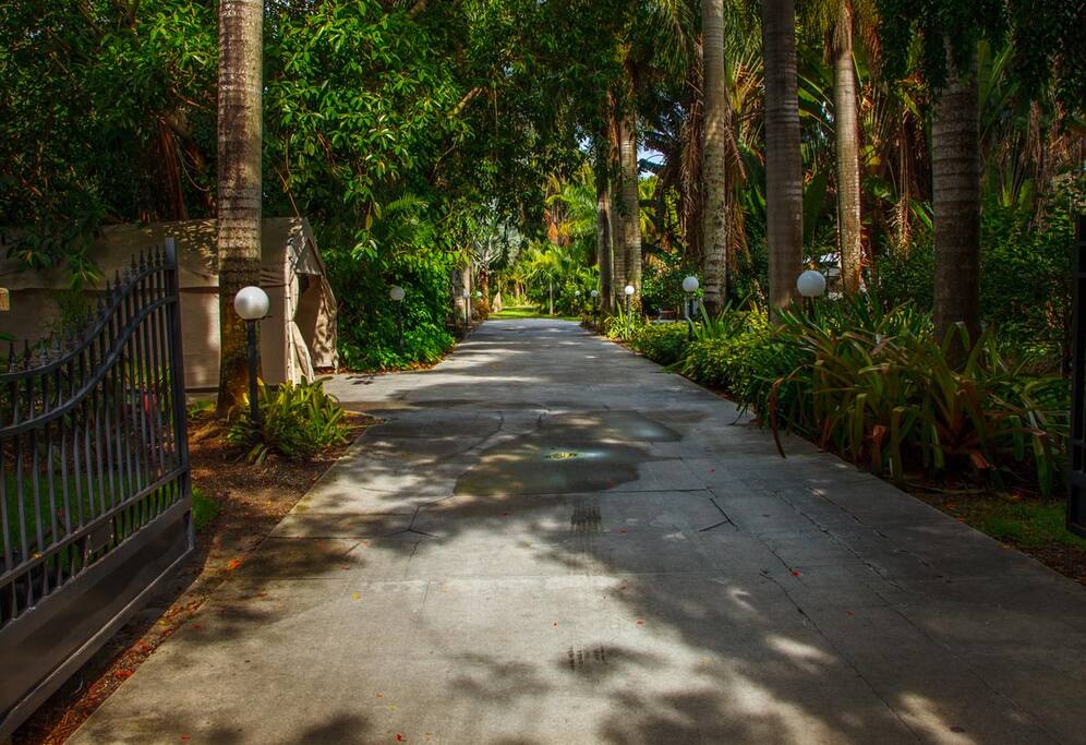 Driveway
