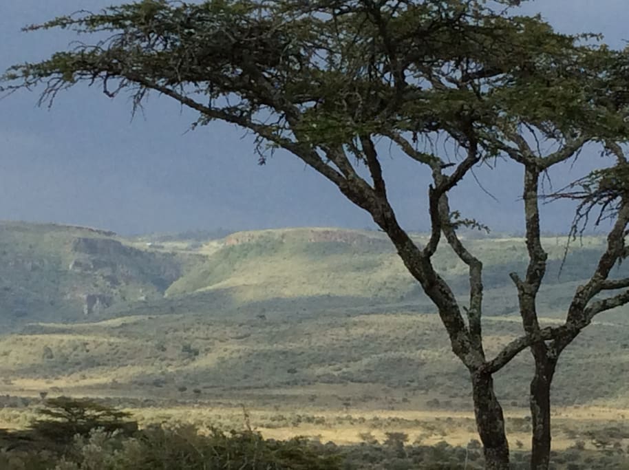 vue sur la réserve