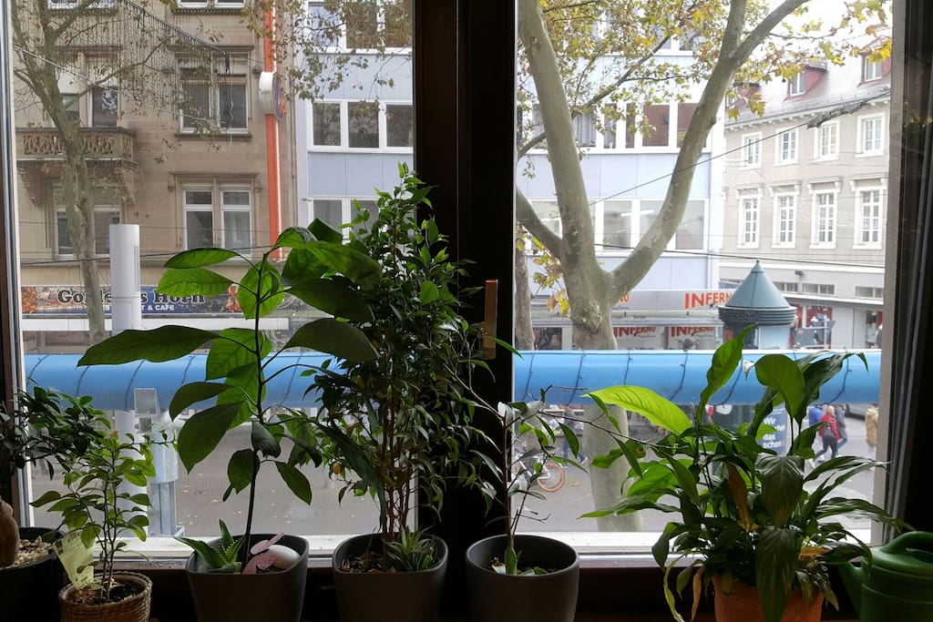 Ausblick auf die Kaiserstrasse