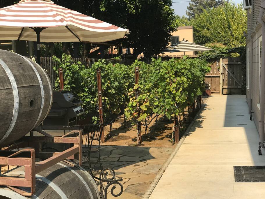 Butler's Private Patio