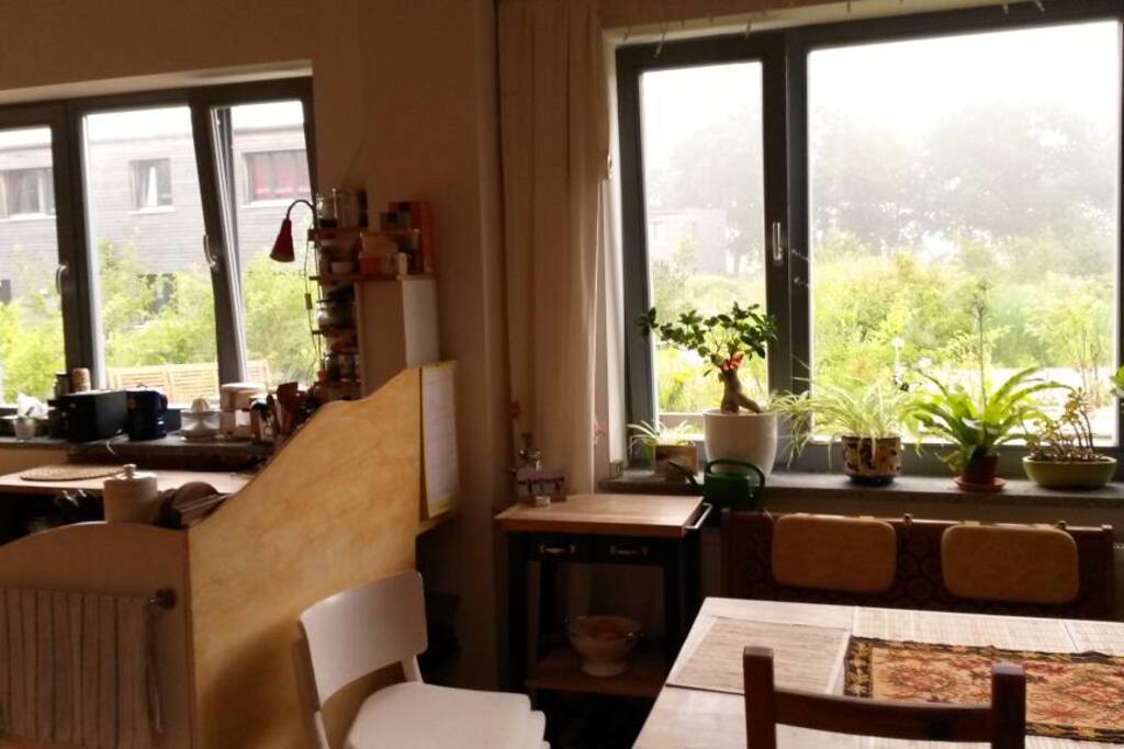 Großer Wohnraum mit Teppichboden, Holzdielen und Ausblick auf den Garten und offene Küche