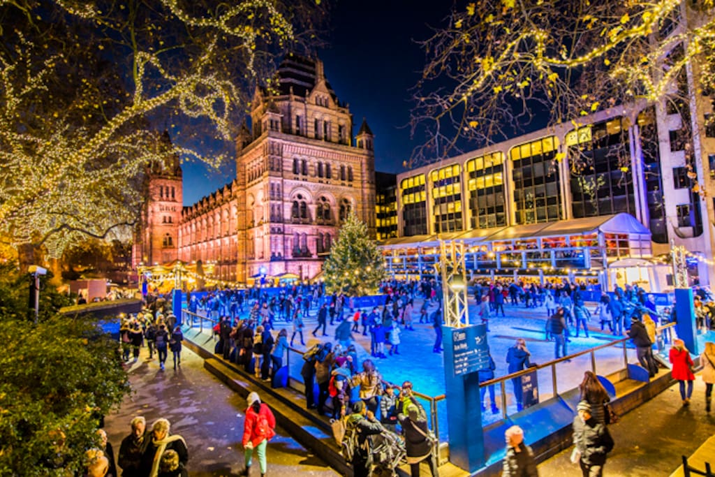 Plenty of national and international events take place in the neighborhood, throughout the year as with the Christmas Ice Rink (Natural History Museum) or the BBC Proms in September (Royal Albert Hall)