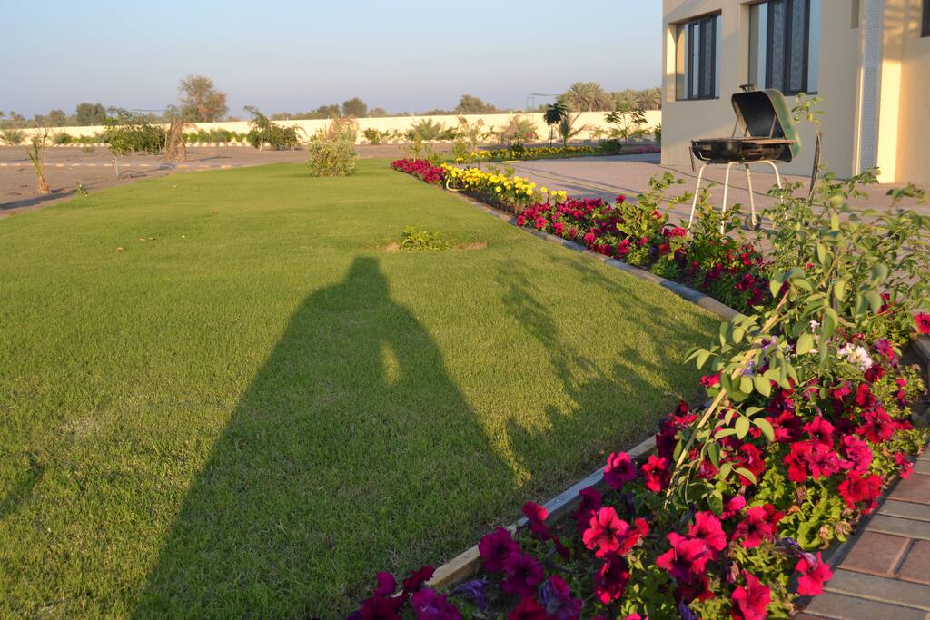 Green Chilling area