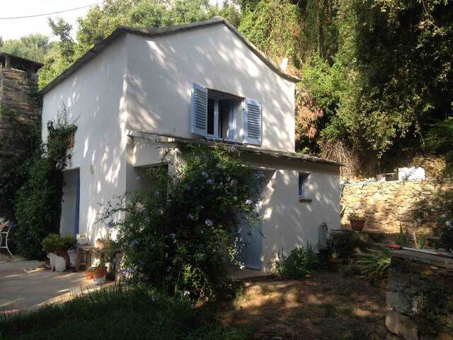 Les Terrasses D Erbalunga Location D Appartements De Vacances En Corse