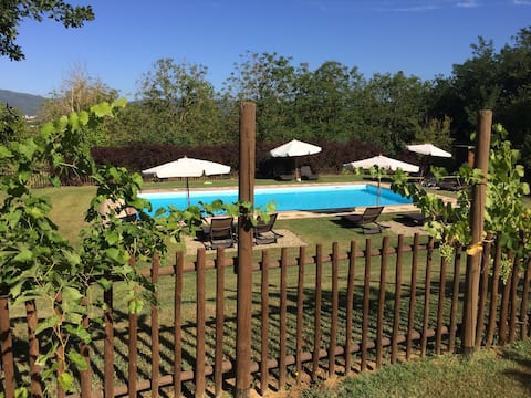 Successful Airbnb property: Cozy apartment for 2 in Sovicille