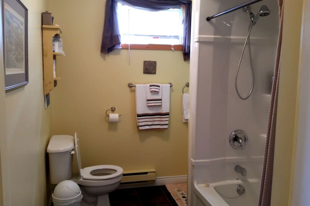 Our Bathroom is fully equipped and lots of extras like hairdryer and toiletries Our Bathtub is low and great for anyone with mobility challenges, shower head is expandable..