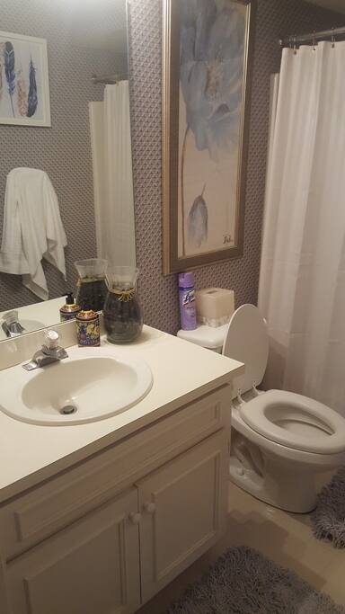 Guest Bathroom