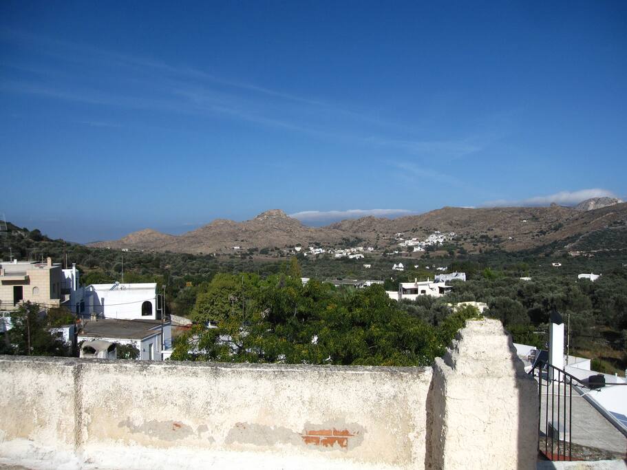 view from the terrace