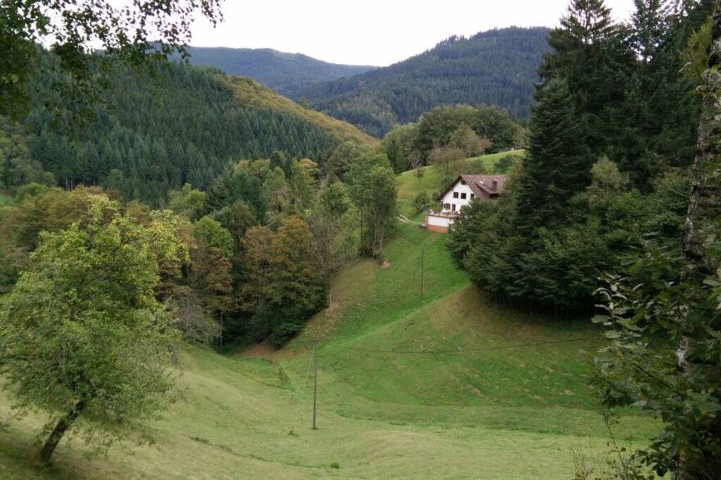 The view from the balcony