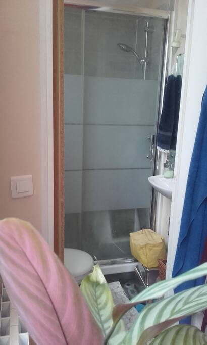 Salle de bain / Bathroom