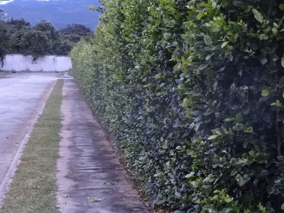Estacionamientos