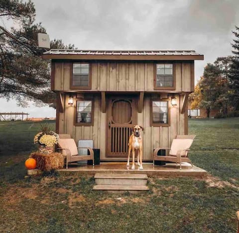 Farmview Sunset Cabin