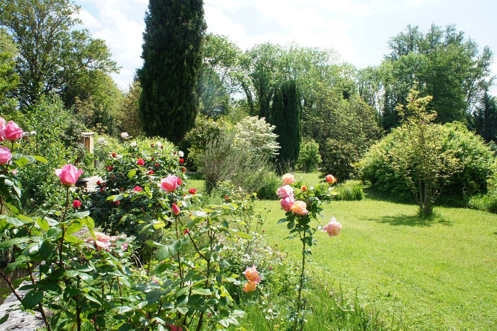 Une partie du parc