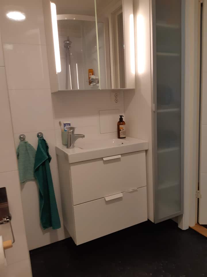 Cozy basement living room with private bathroom and private entrance